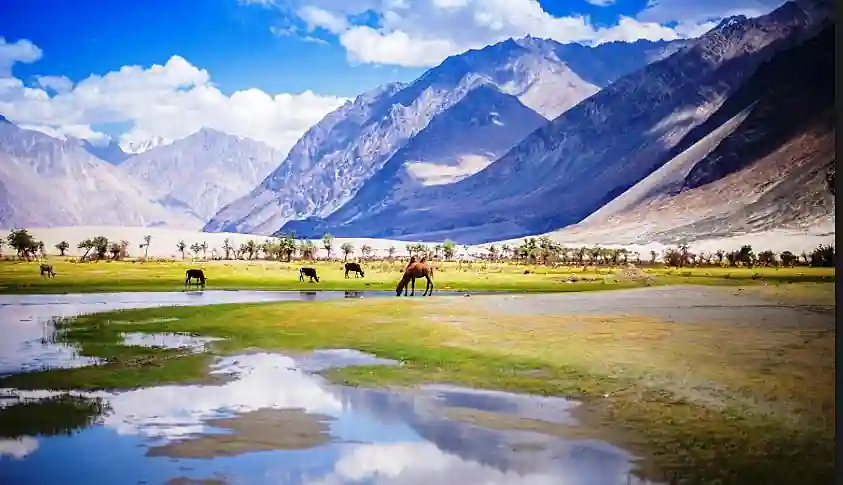 Leh Nubra Valley Tour